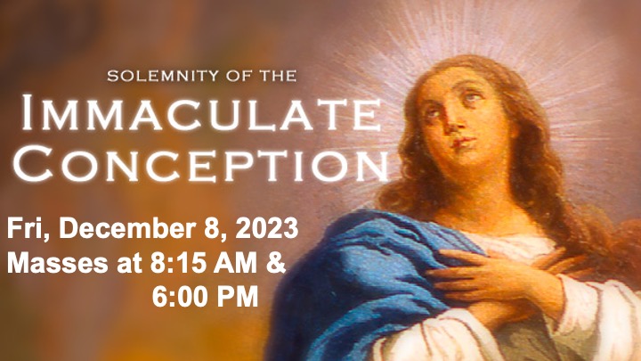 Solemnity of the Immaculate Conception